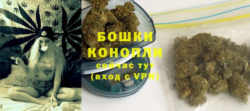 купить   блэк спрут ONION  Бошки Шишки SATIVA & INDICA  Великий Устюг 